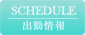 スケジュール