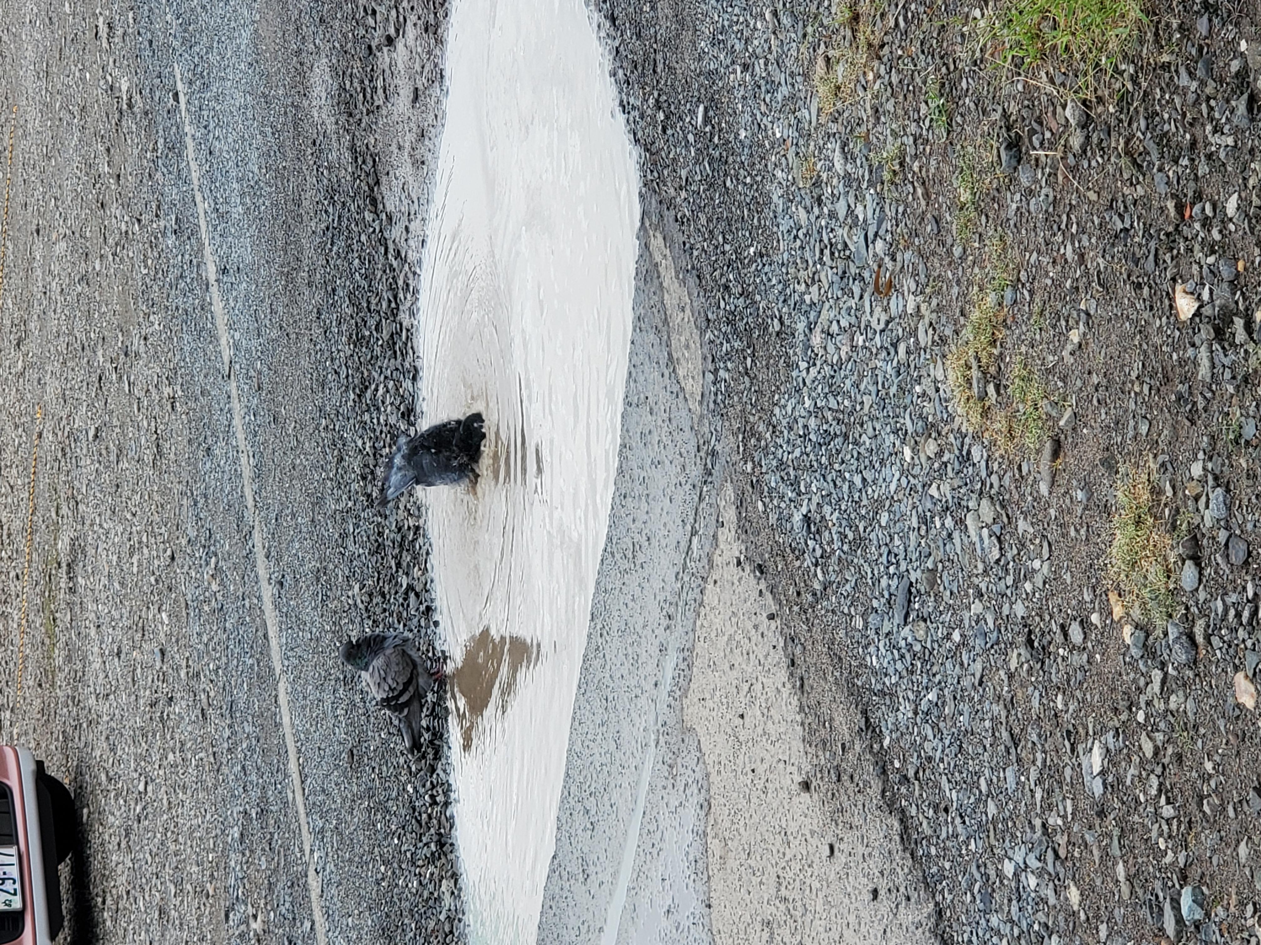 HARUMi　スタッフ☆彡はくべい