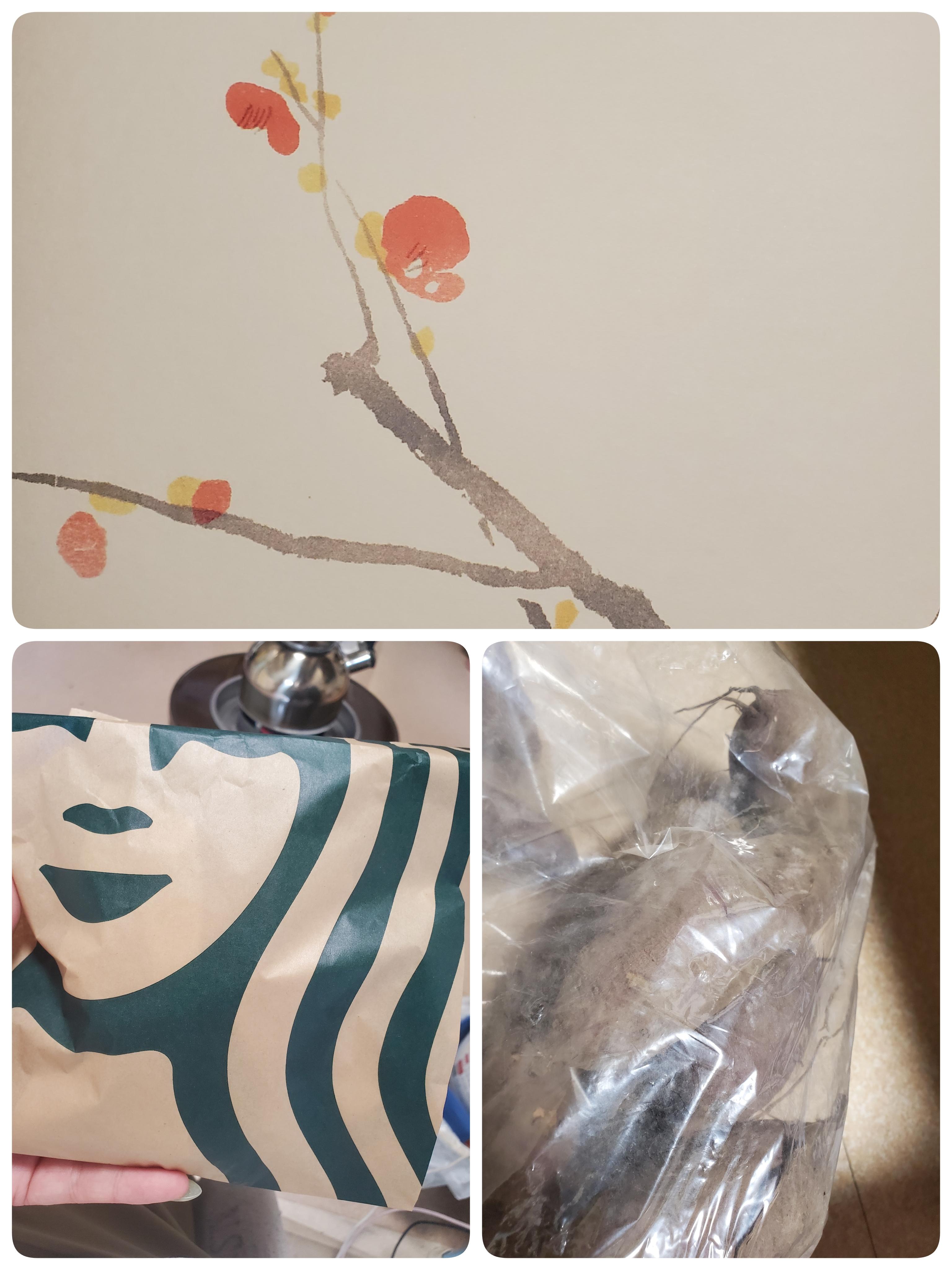 HARUMi　スタッフ☆彡はくべい