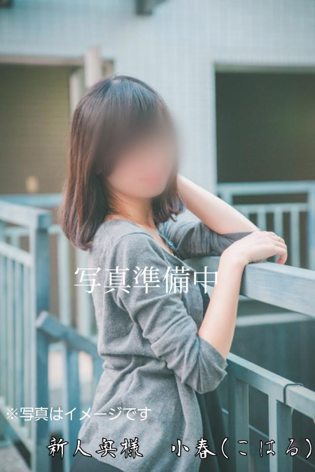 新人奥様小春(こはる)プロフィール写真