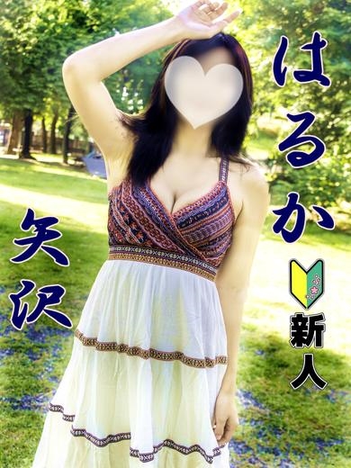 矢沢　はるかプロフィール写真