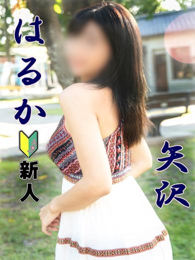 矢沢　はるかプロフィール写真