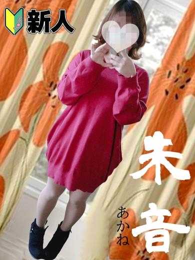 朱音プロフィール写真