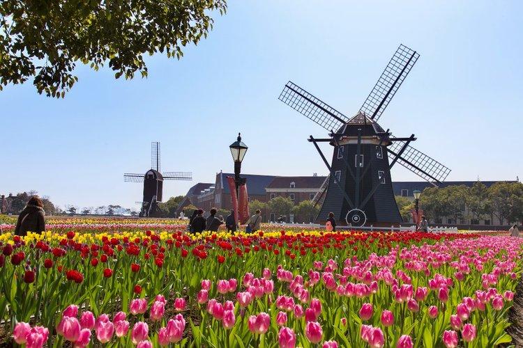 40代からのリアル鹿児島美熟女REBORN～リボン～　店長