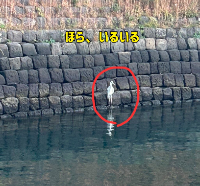 Mrs. LUSH(デリヘル) 