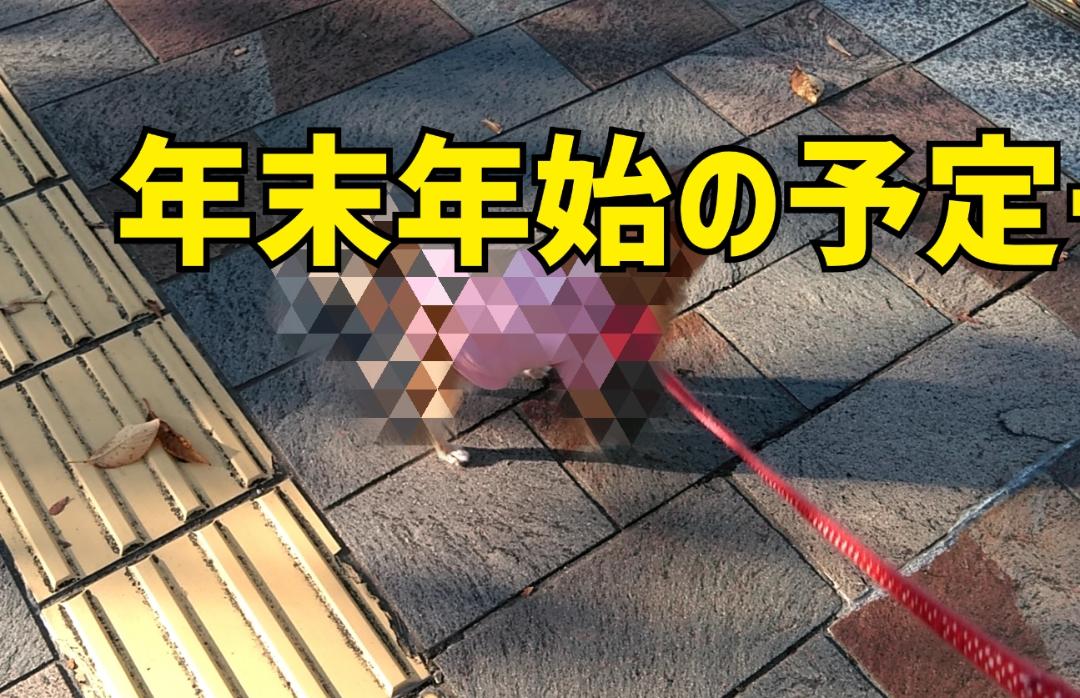 Mrs. LUSH(デリヘル) 