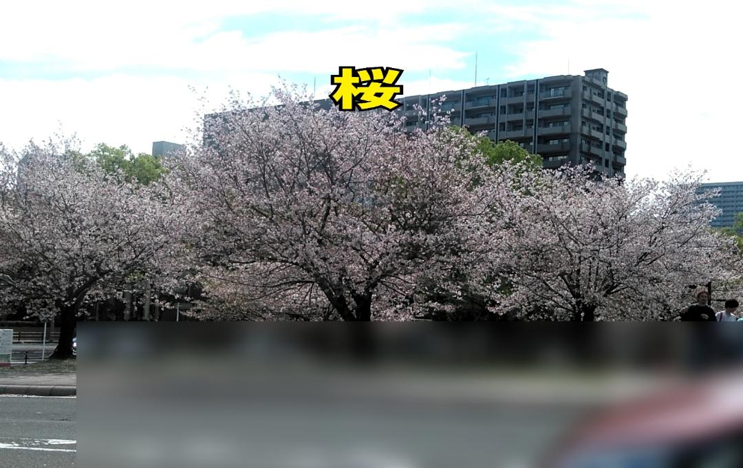 Mrs. LUSH(デリヘル) 