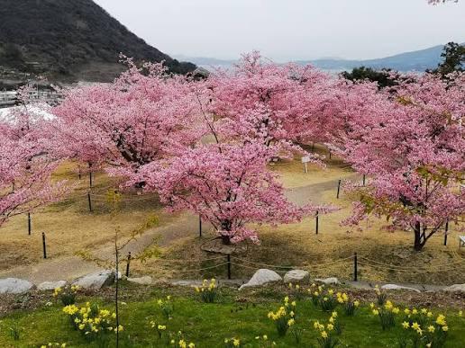 SLYスライ　店長