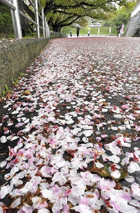 SLYスライ　店長