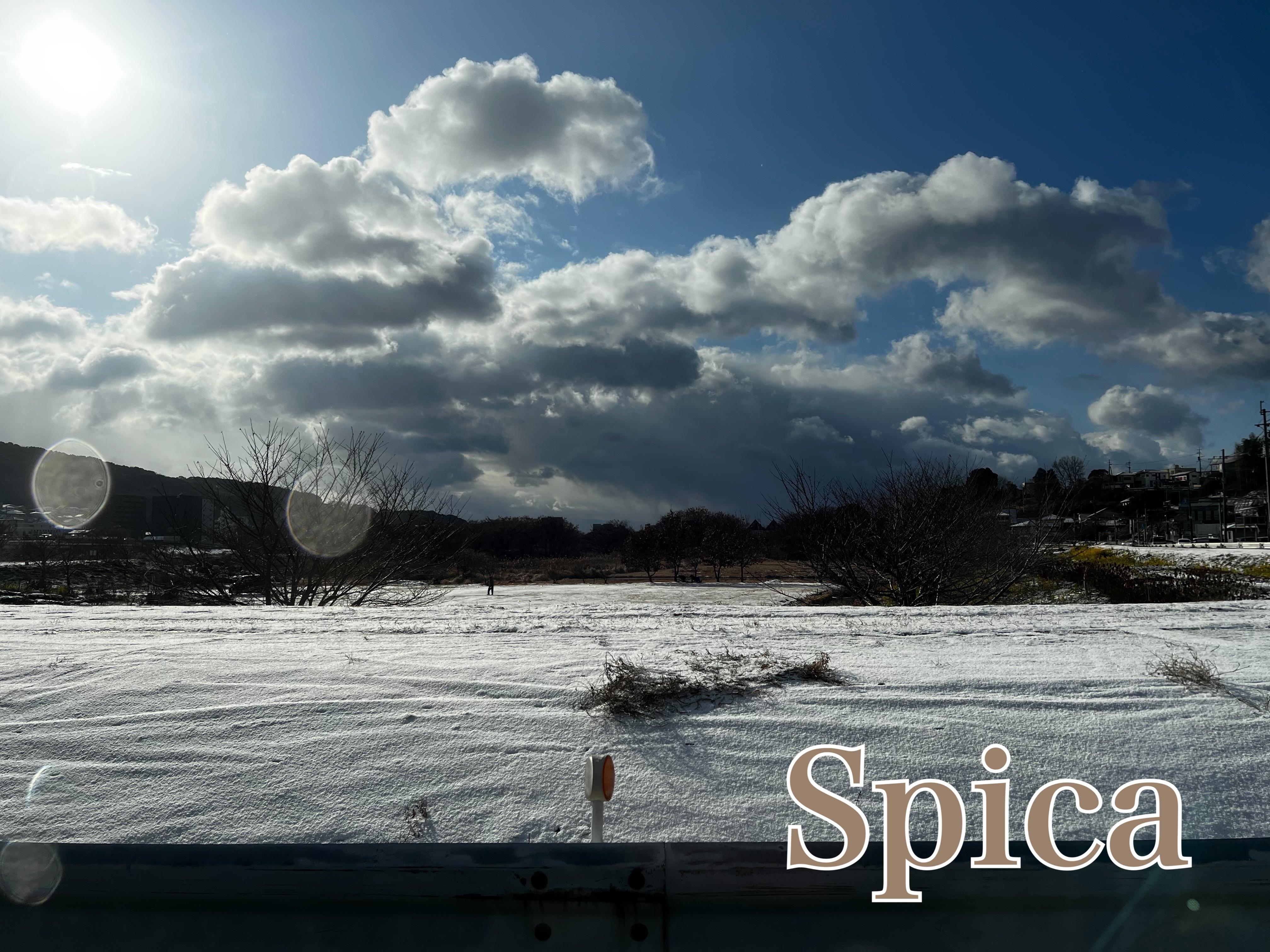 Spica(すぴか)　店長