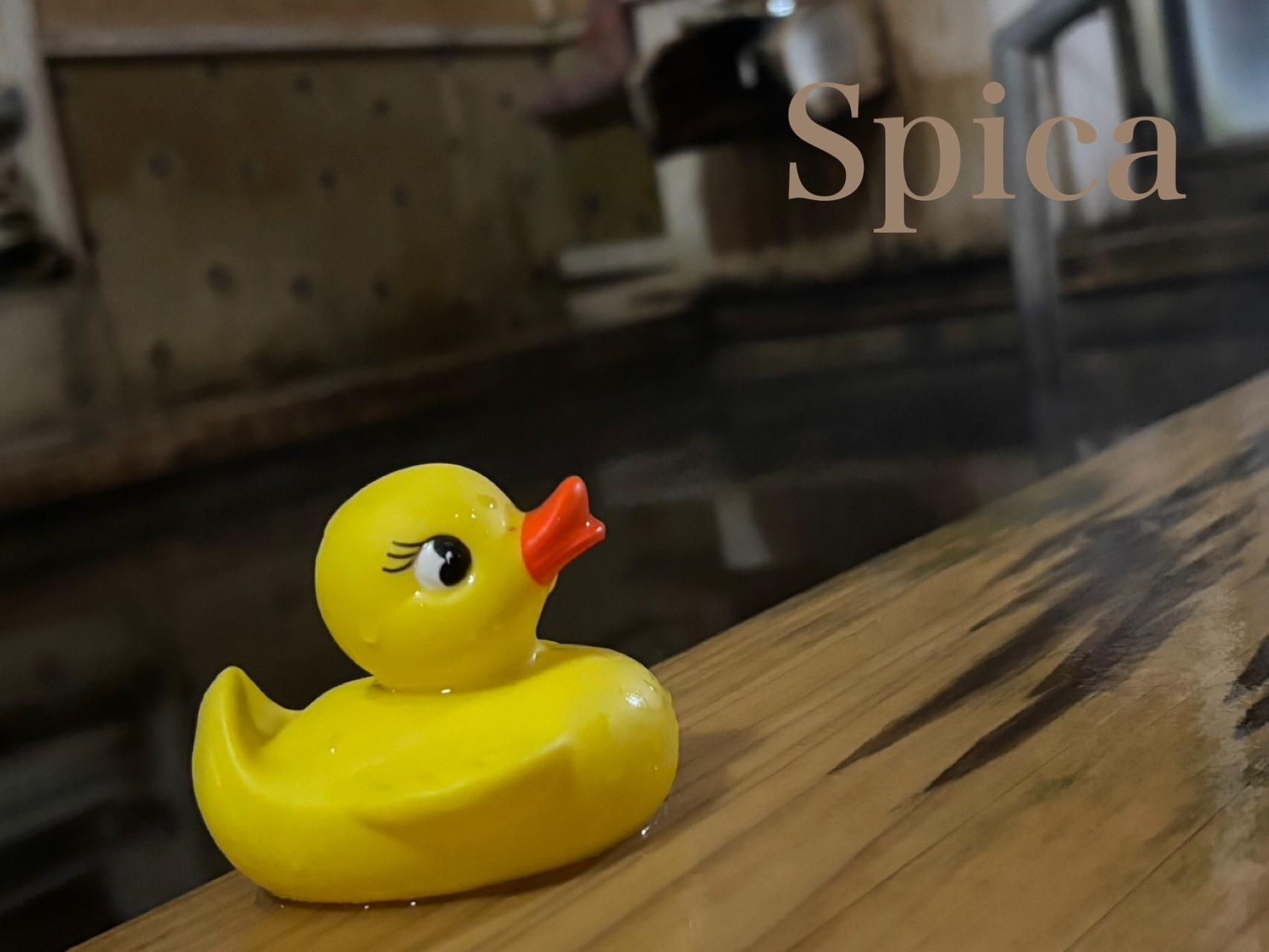 Spica(すぴか)　店長